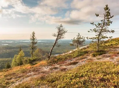 Valtavaara Chalet *