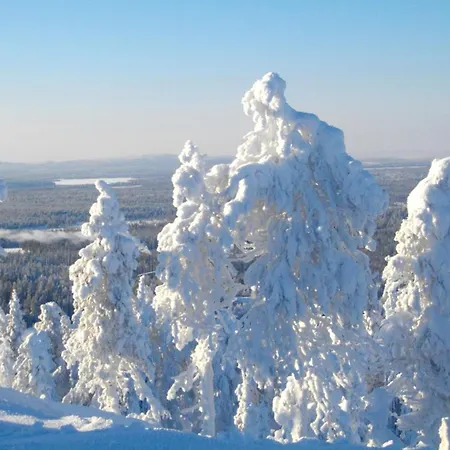 Alpehytte Valtavaara Ruka