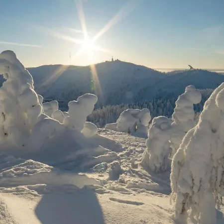 Valtavaara Alpehytte Ruka