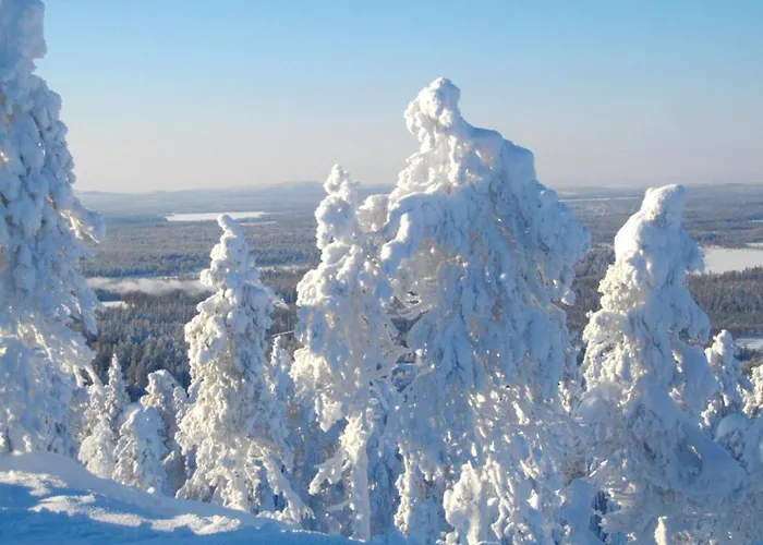 شاليه Valtavaara روكا