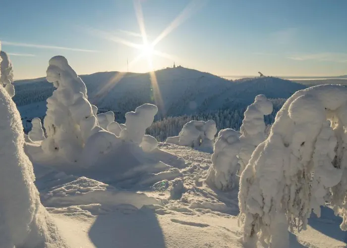 Valtavaara شاليه روكا